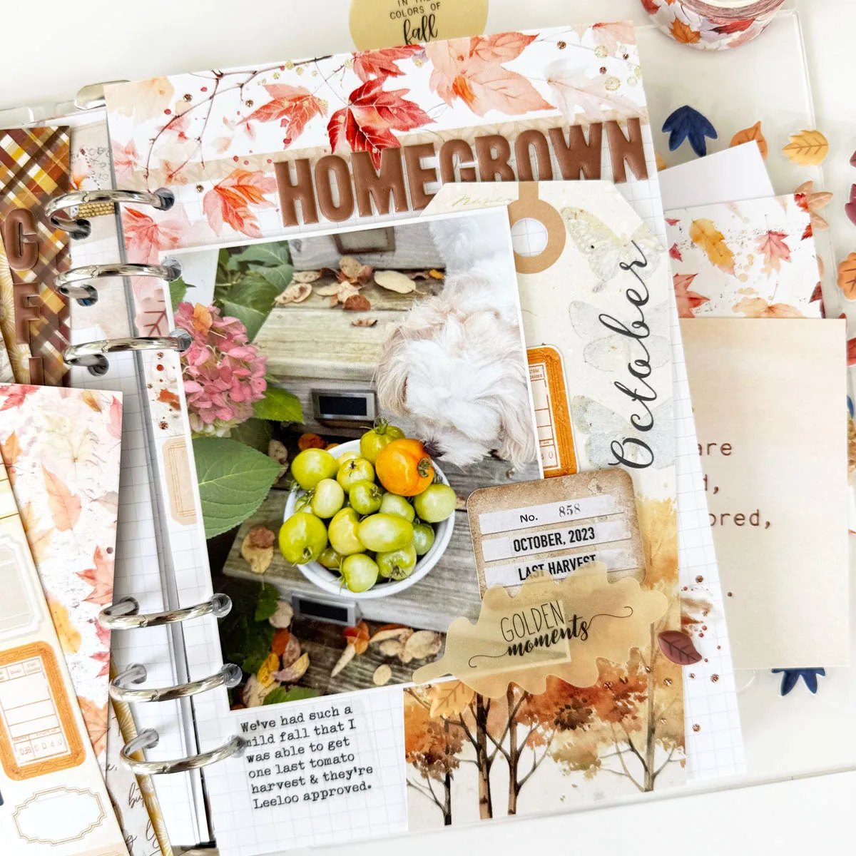 Cozy Season Scrapbooking Kit - Choose Your Add On - October 2024