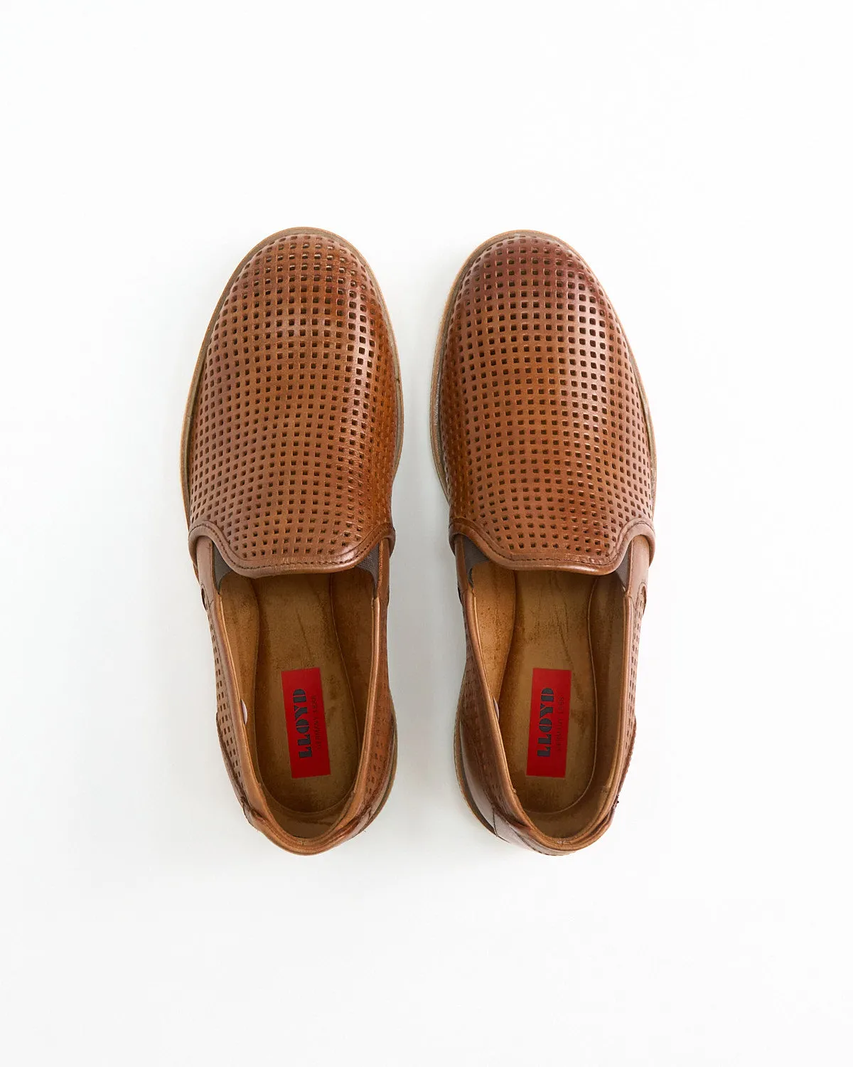 Ferguson Perforated Loafers